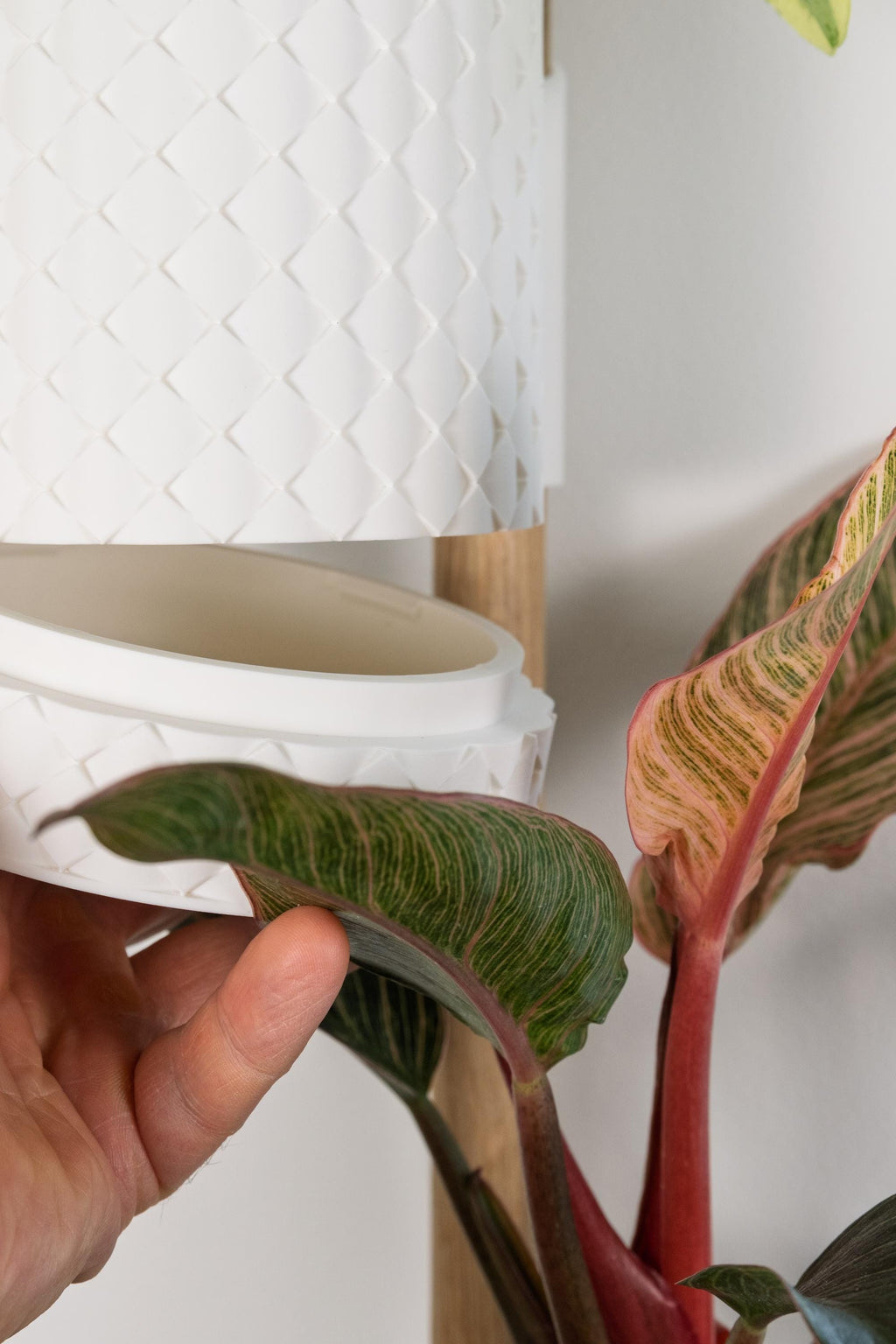 Lodret vægplantesystem Quilted med bøgetræsskinne – 2–4 potter