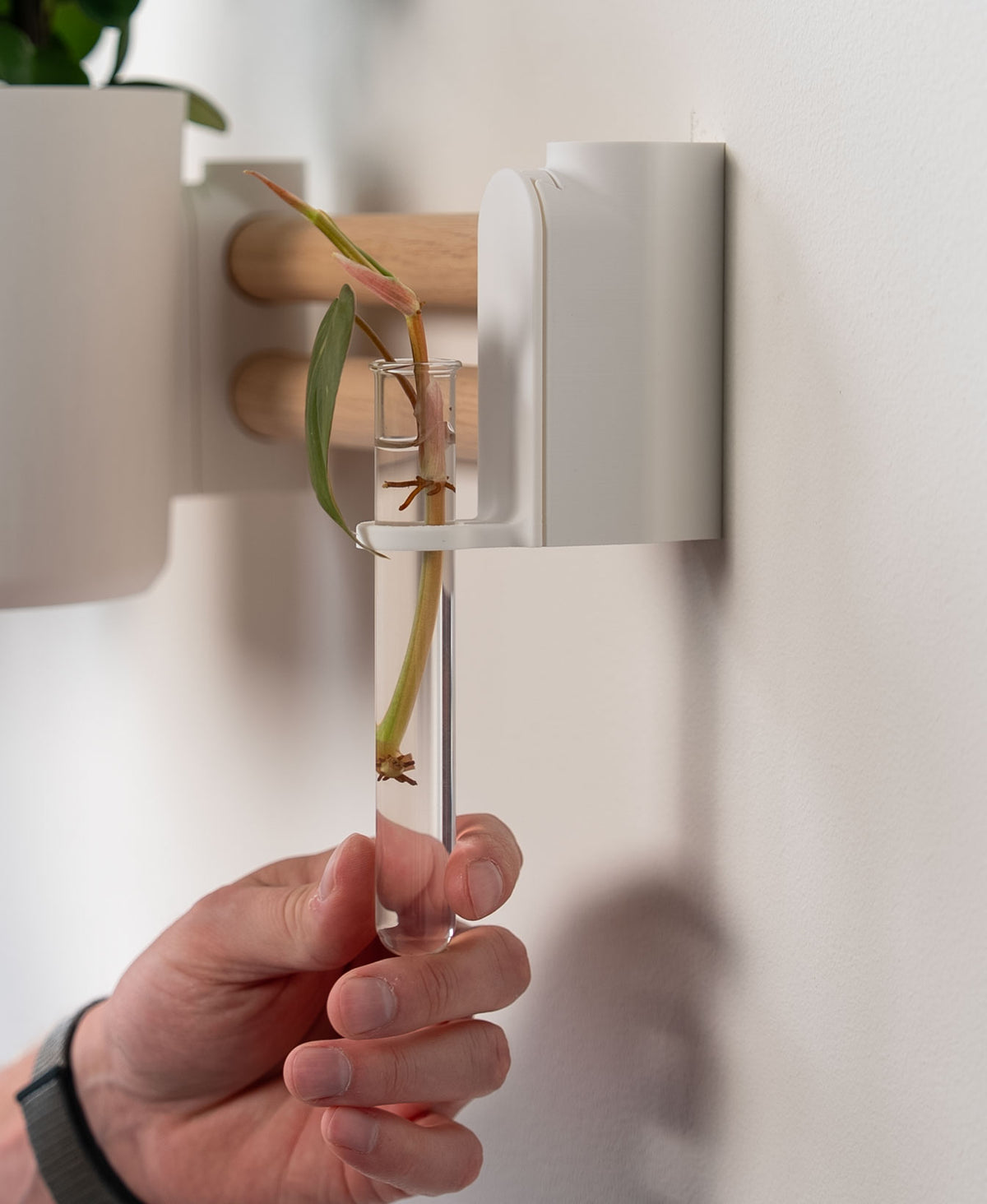 Stiklingeholder til vægplantesystem – til lodrette og vandrette systemer