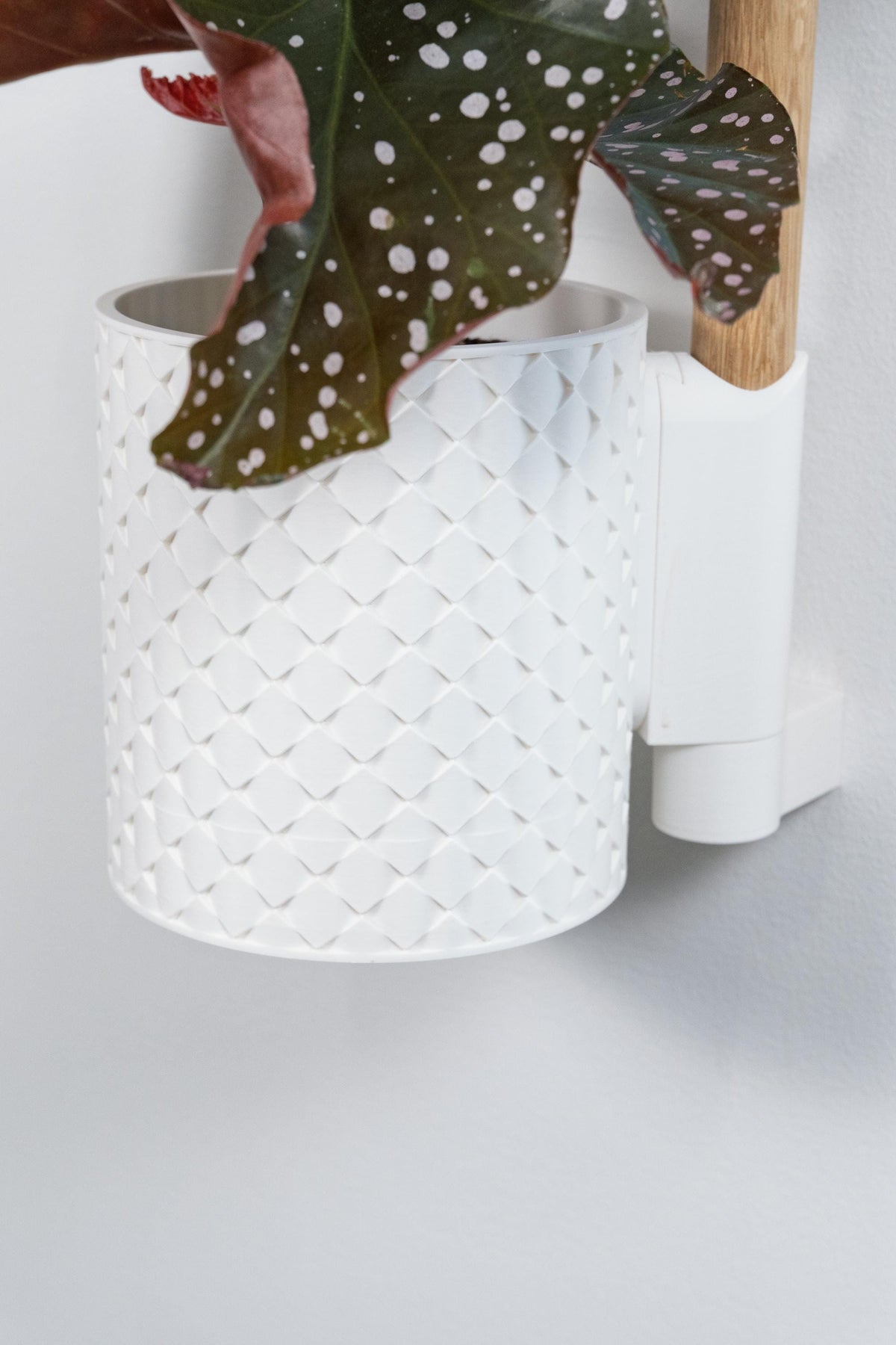 Lodret vægplantesystem Quilted med bøgetræsskinne – 2–4 potter