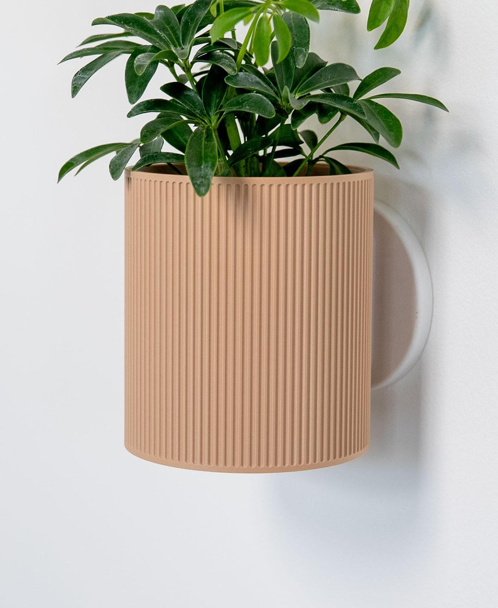 Vægplantepotte Ribbed – 3M Command Strips, skruer eller IKEA SKÅDIS