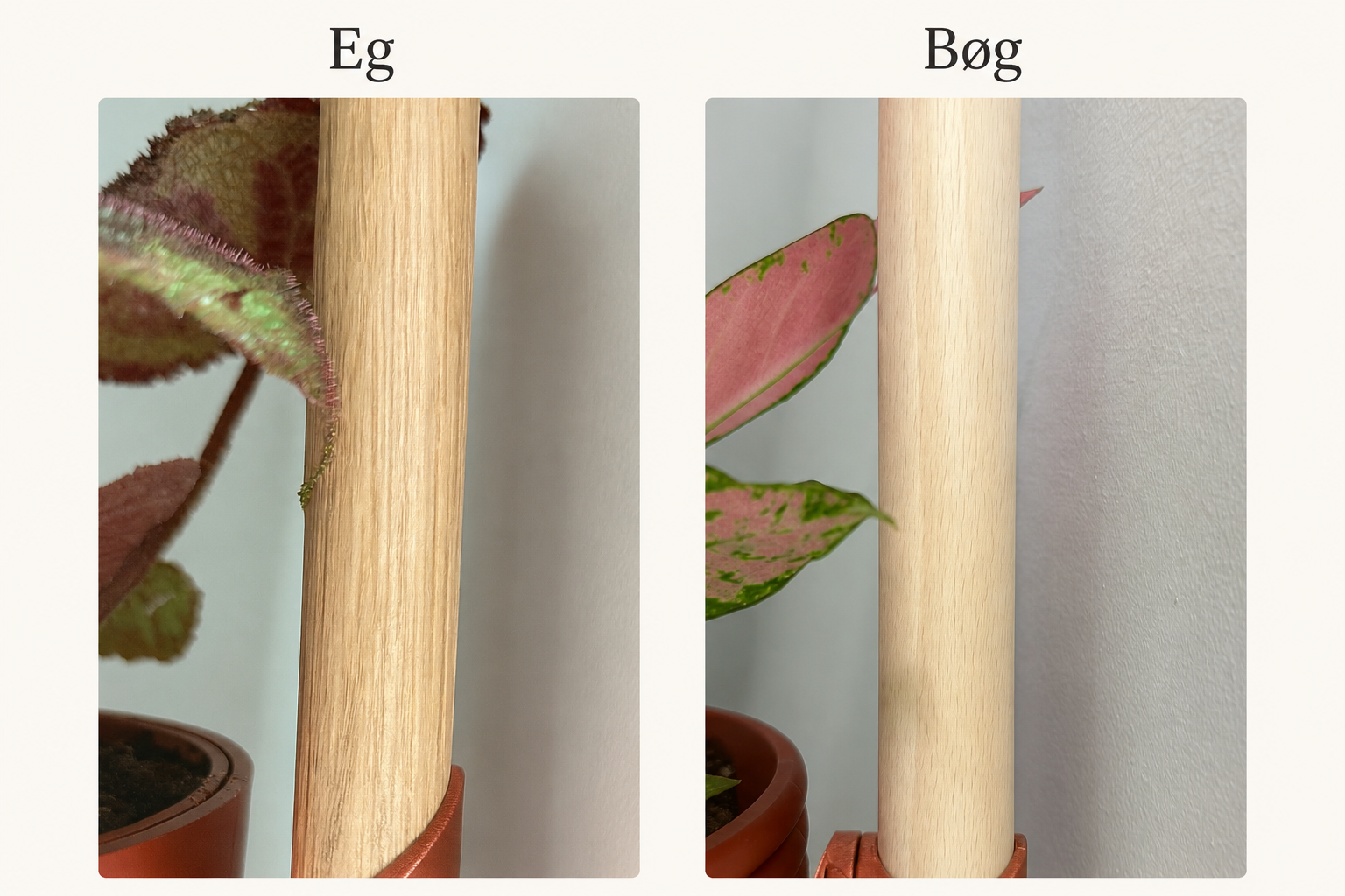 Modulært lodret vægplantesystem med træskinne – 3 eller 4 potter