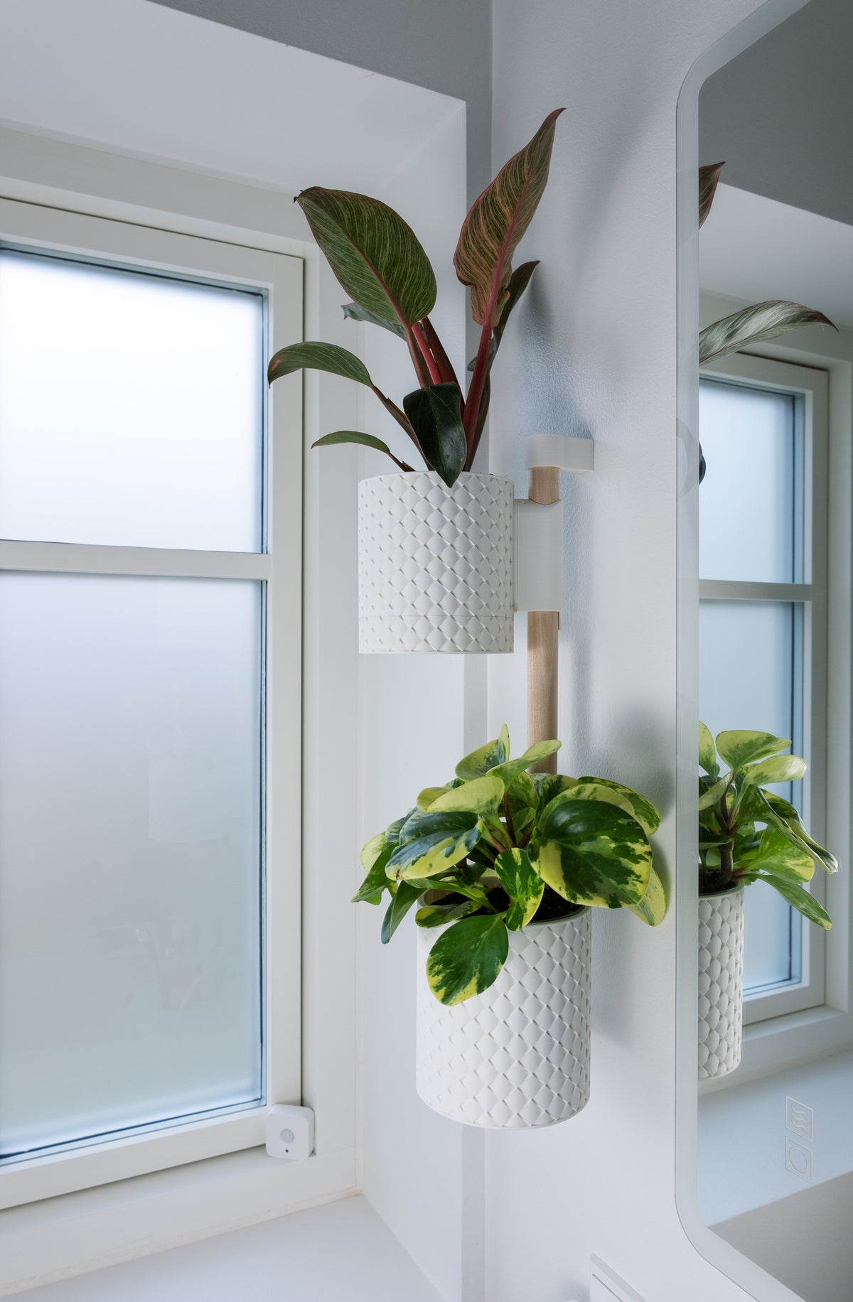 Lodret vægplantesystem Quilted med bøgetræsskinne – 2–4 potter