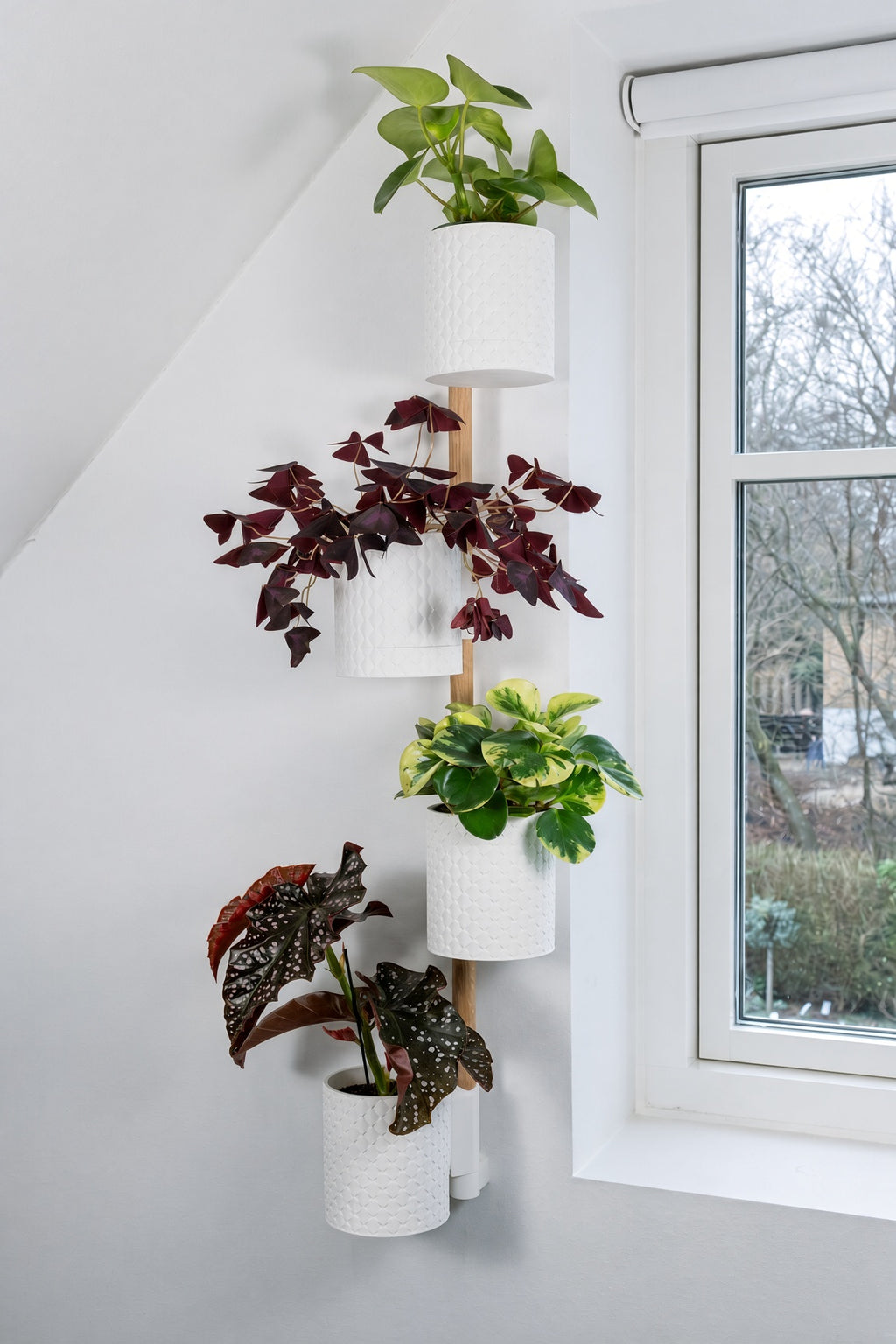 Lodret vægplantesystem Quilted med bøgetræsskinne – 2–4 potter