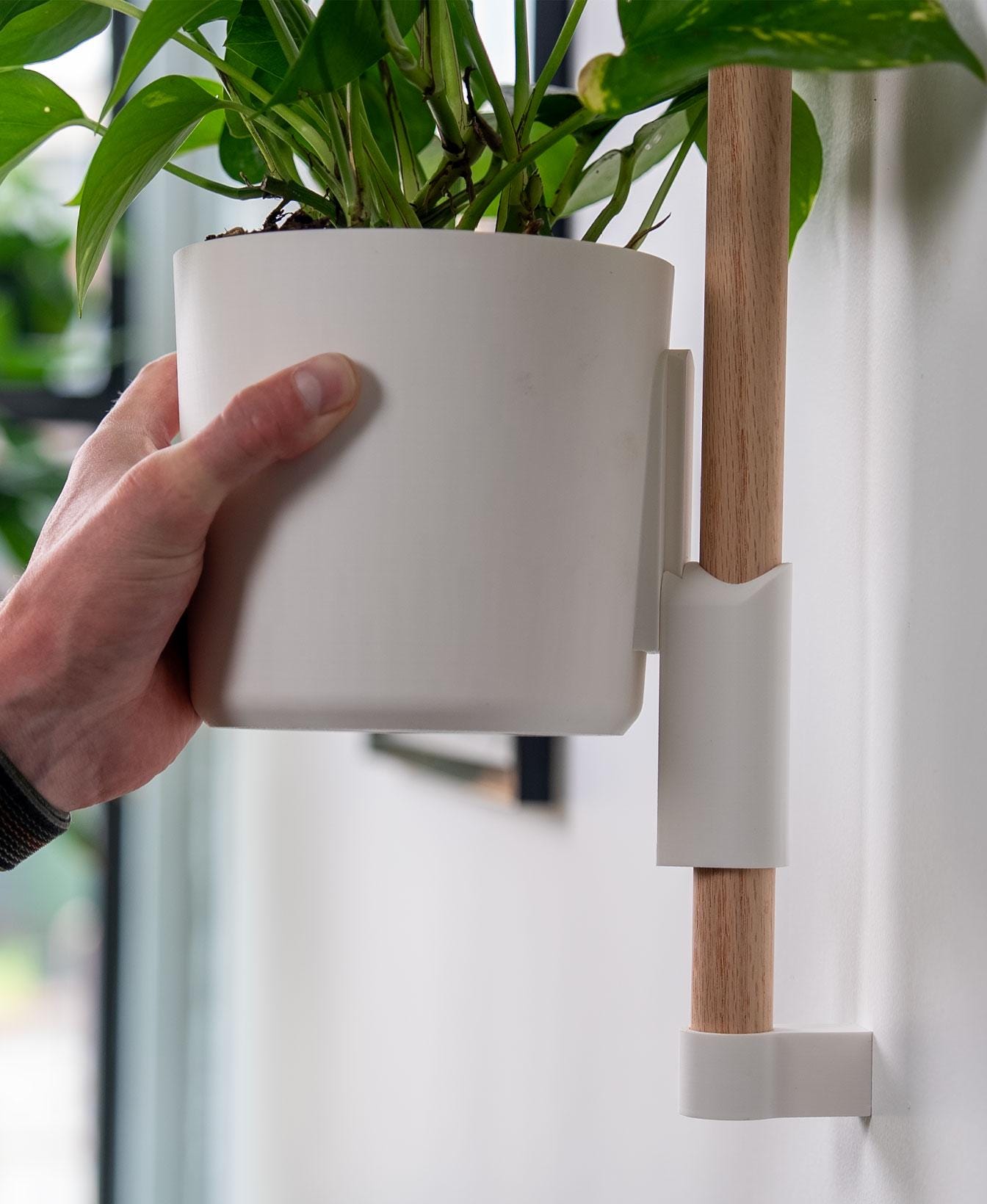 Modulært vægplantesystem med træskinne – til indendørs planter
