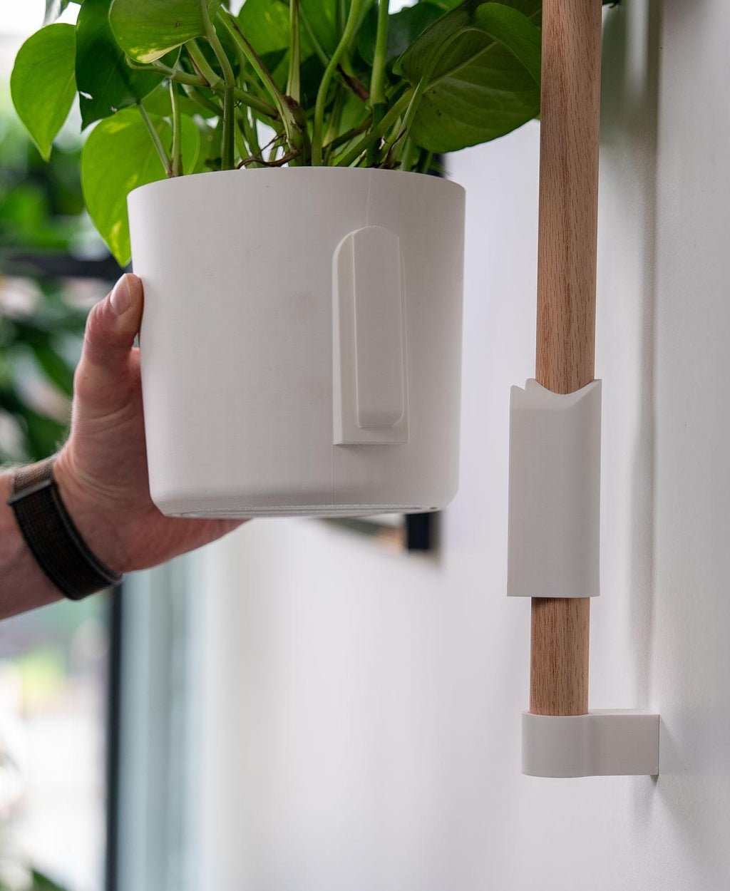 Modulært vægplantesystem med træskinne – til indendørs planter